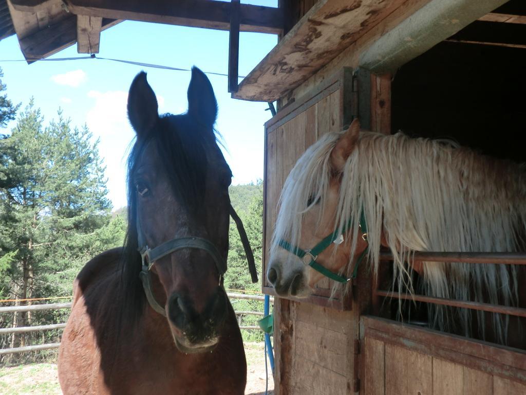 Gastreinhof メルティナ エクステリア 写真